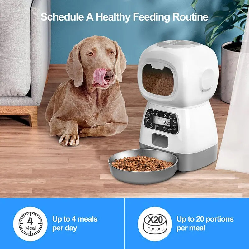 Alimentador Automático para pet